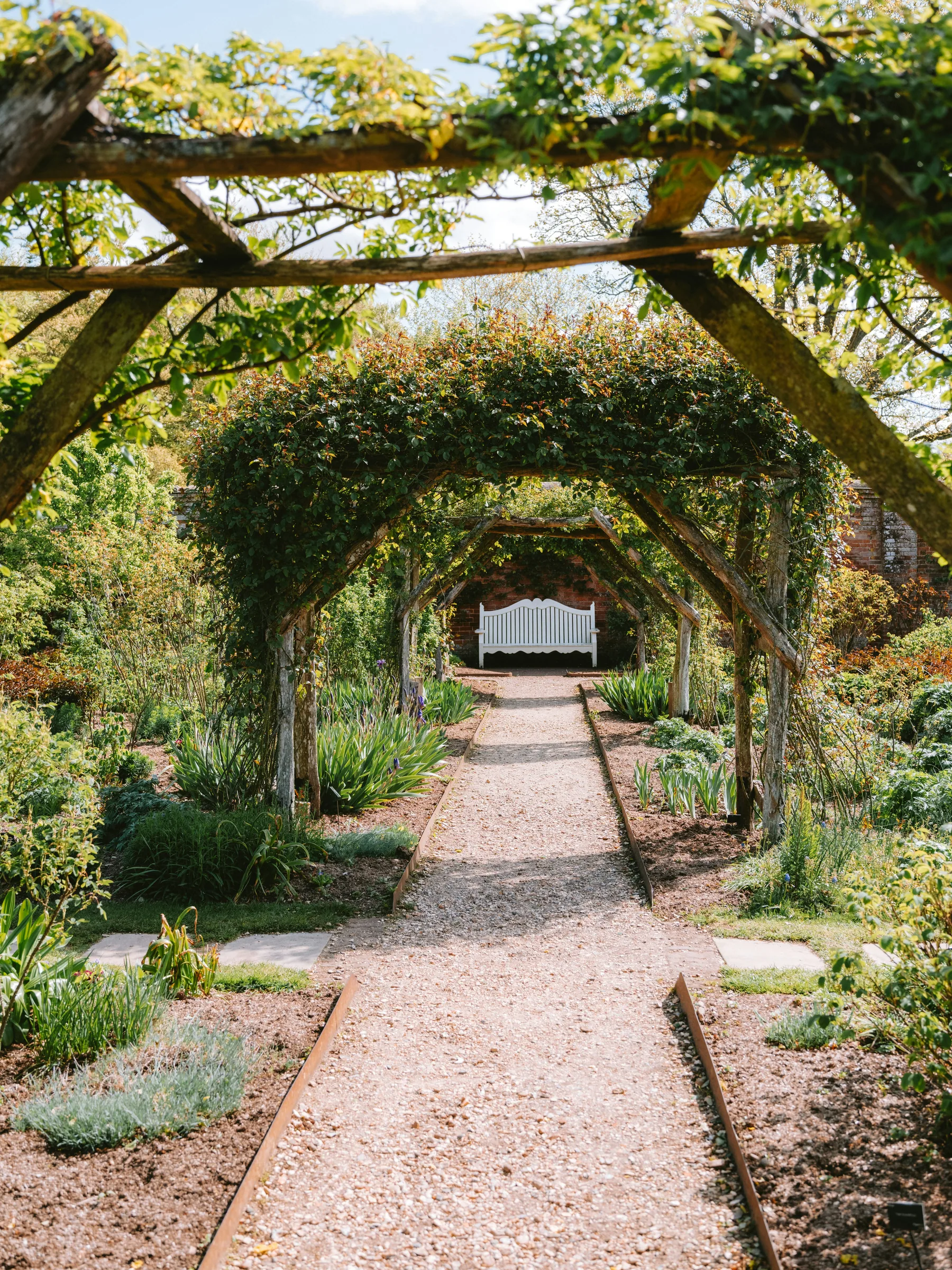 Gartenweg unter einer begrünten Pergola
