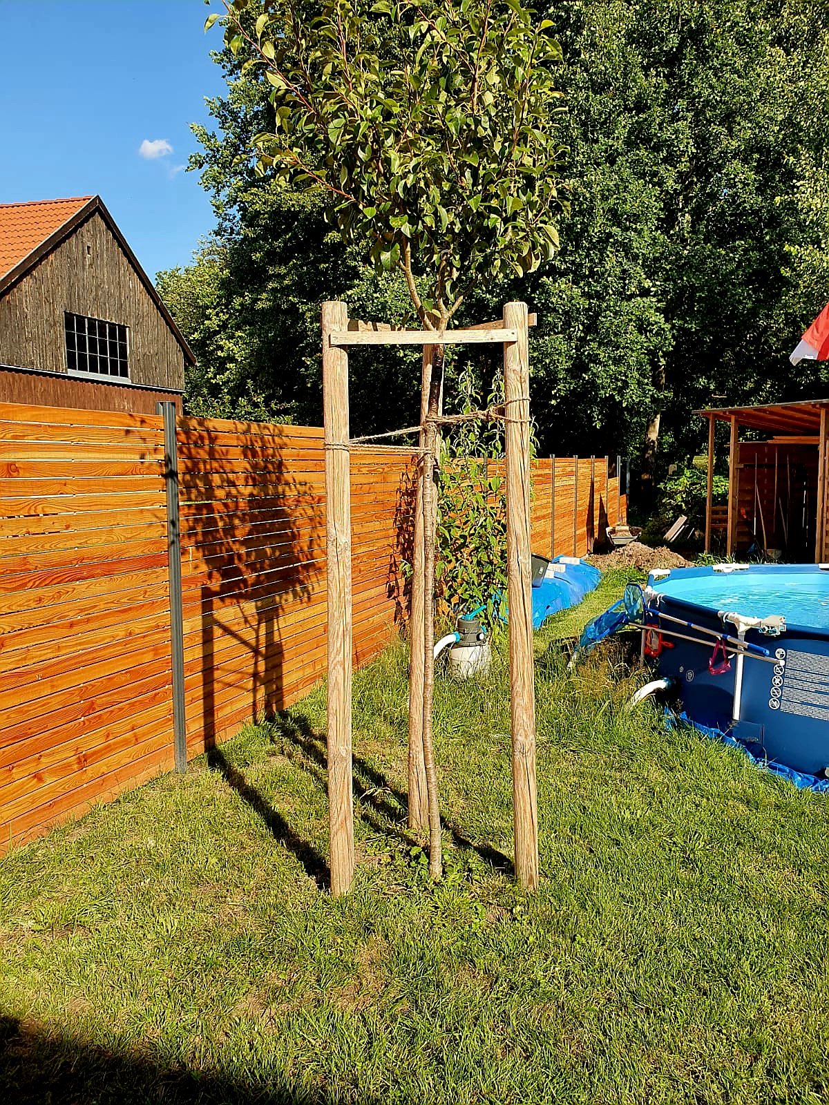 Moderner Garten an einem Wohnhaus